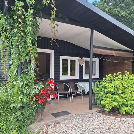 To Tu * 鲁恰内尼达