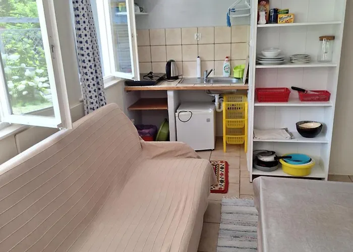 To Tu 鲁恰内尼达