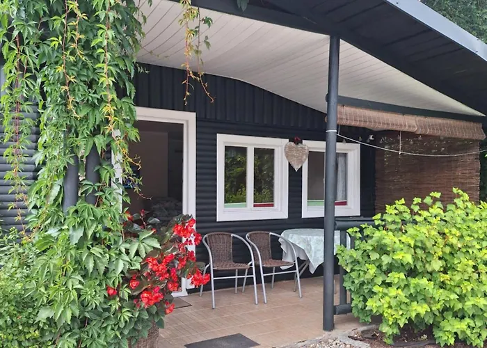 To Tu * 鲁恰内尼达