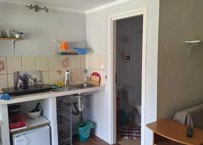 To Tu * 鲁恰内尼达